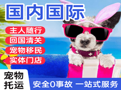 贡嘎航空运输国际宠物托运 【国